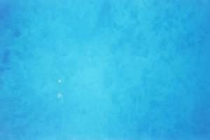 181.海底水深80mでも見える.jpg