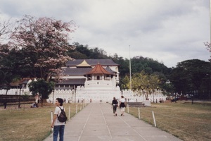 23.仏歯寺1.jpg