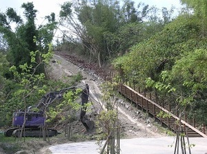 75.月池へ行く階段.jpg